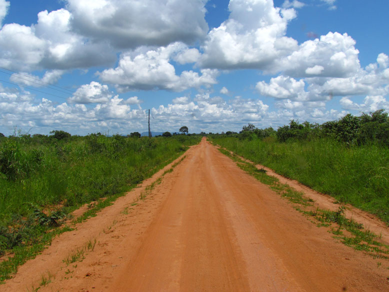 pistas zambias